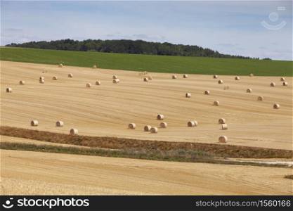 straw bales in rolling hills of northern france under blue sky on sunny summer evening