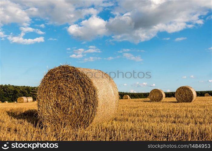 Straw bales in the light of sunset