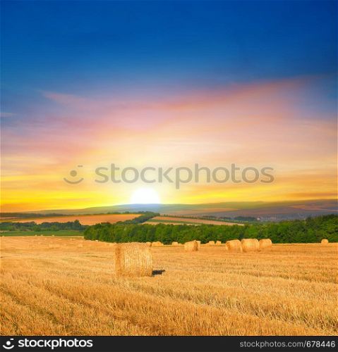 Straw bales on a wheat field and and sunrise. Agricultural landscape.