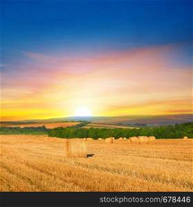 Straw bales on a wheat field and and sunrise. Agricultural landscape.