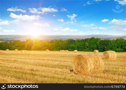 Straw bales on a wheat field and sunrise on blue sky