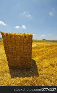 Straw Bales on Farmland. Dry Summer in Israel