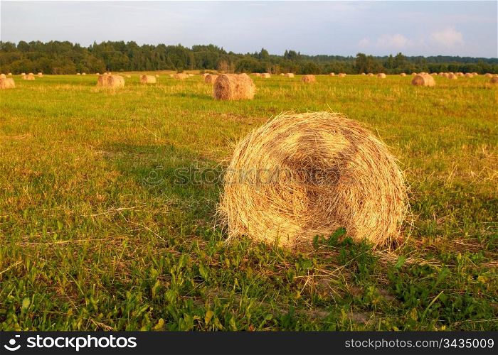 Straw bales on farmland withh shadow of posing girl