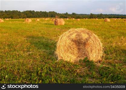 Straw bales on farmland withh shadow of posing girl