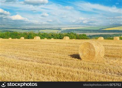 Straw bales on field after harvest and blue sky with clouds.