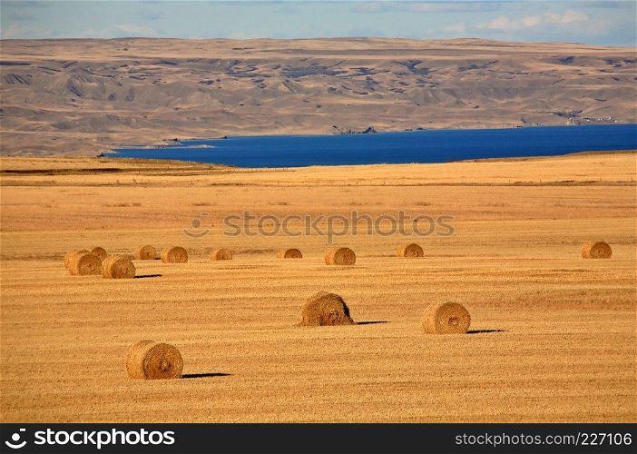 Straw bales with Lake Diefenbaker in background