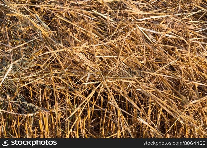 Straw farmland summer fields as a background
