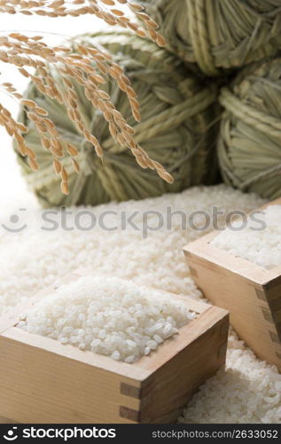 Straw rice bag