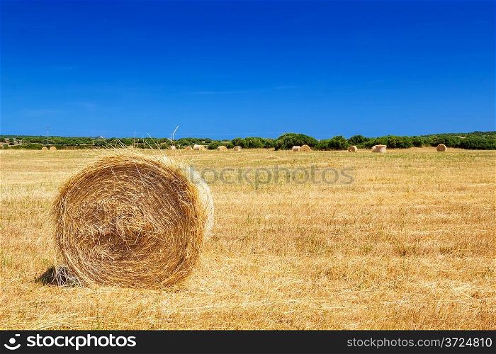 Straw roll bale on the farmland in sunny day at Menorca, Spain.