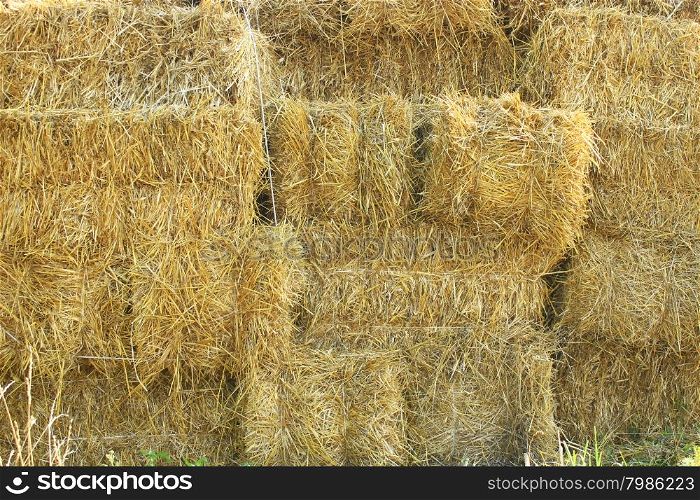 straw stacked in bales. straw stacked in bales in the farm