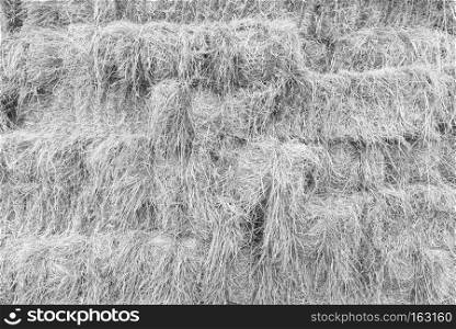 straw texture background in black and white