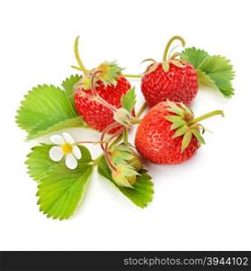 strawberries and green leaves isolated on white background