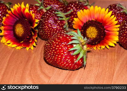 Strawberries are perennial herbaceous plant, genus Fragaria