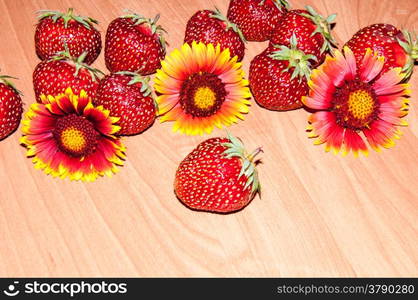 Strawberries are perennial herbaceous plant, genus Fragaria