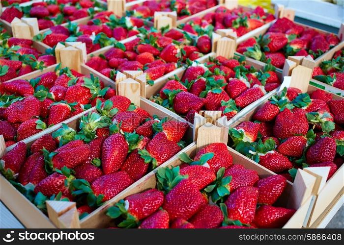 Strawberries boxes baskets texture in outdoor market