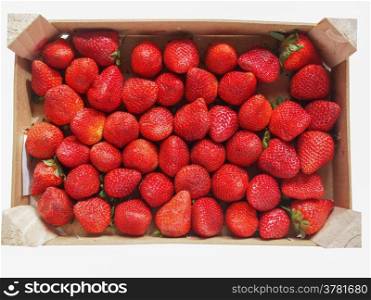 Strawberries fruits. Strawberry fruit aka garden strawberry or fragaria
