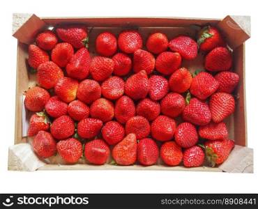 Strawberries fruits. Strawberry fruit aka garden strawberry or fragaria in a fruit crate isolated over white background
