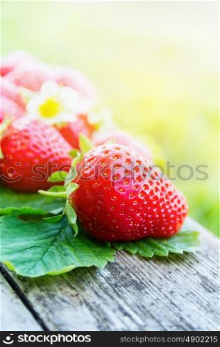 strawberries in sunny garden table
