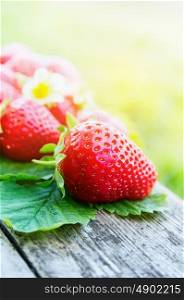 strawberries in sunny garden table