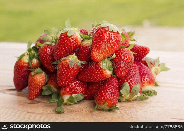 strawberries on garden’s table, outdoor picture