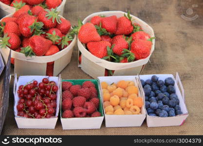 Strawberries, redcurrants and raspberries at a local French market