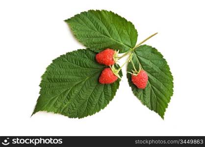 strawberries with leaves isolated on white
