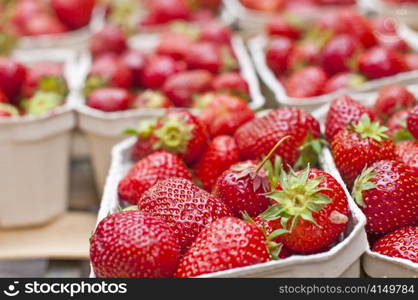 strawberry