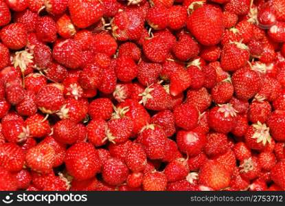 Strawberry background. A lot of bright, are fresh berries of a strawberry