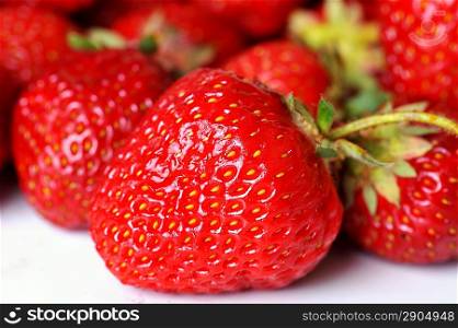strawberry close up isolated on white