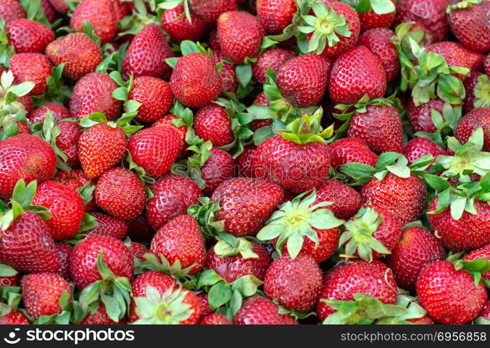 Strawberry. Fresh organic berries macro. Fruit background,. Strawberry. Macro of fresh organic fruits. Fruit background, strawberry for sale on the market bench.