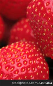 Strawberry. Fresh strawberries close-up shot