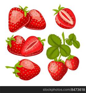 strawberry fruit set cartoon vector. fresh red berry, sweet leaf, juice summer food strawberry fruit vector illustration. strawberry fruit set cartoon vector illustration