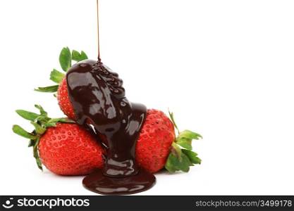 strawberry in chocolate isolated on white