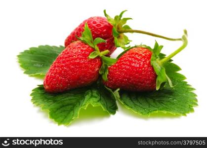strawberry isolated on a white background