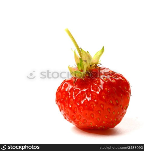 strawberry isolated on white background