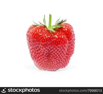 strawberry isolated over white