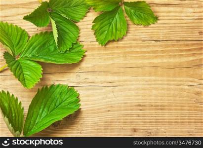 strawberry leaves on wooden background
