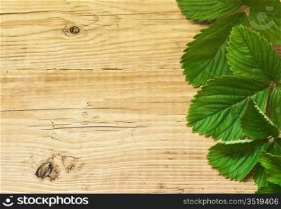 strawberry leaves on wooden background