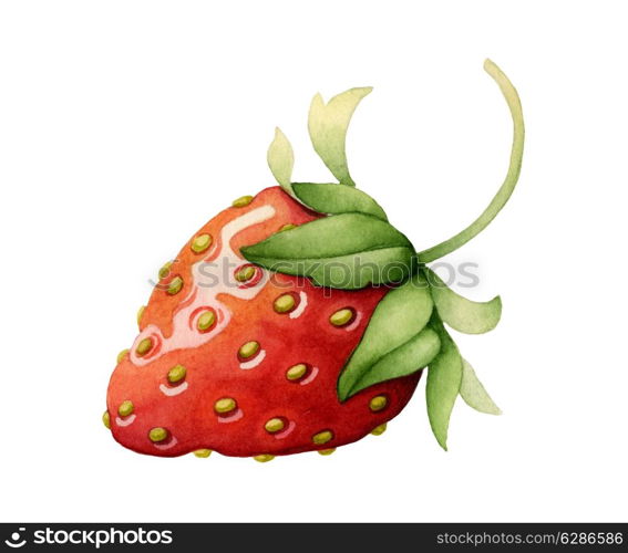 Strawberry made with watercolors on white background