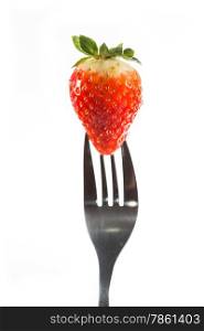 Strawberry season stuck on a fork