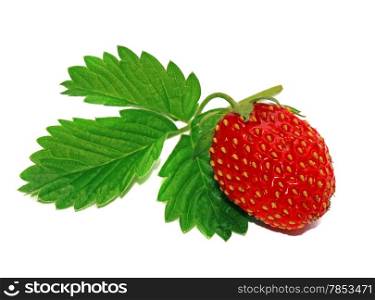 Strawberry with leaf isolated