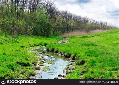 Stream and green meadow