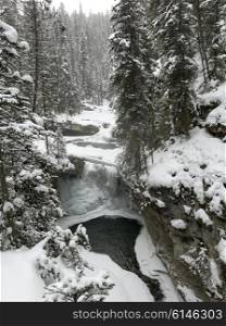 Stream flowing in snowy forest, Johnston Canyon, Banff National Park, Alberta, Canada