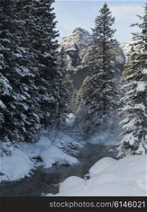 Stream flowing in snowy forest, Lake Louise, Banff National Park, Alberta, Canada