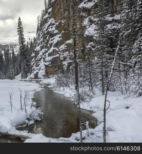 Stream flowing in snowy forest, Lake Louise, Banff National Park, Alberta, Canada