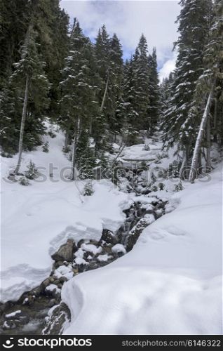 Stream flowing in snowy forest, Whistler, British Columbia, Canada