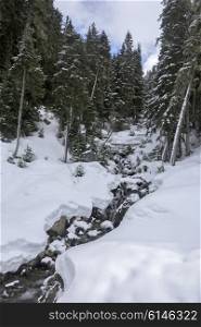 Stream flowing in snowy forest, Whistler, British Columbia, Canada