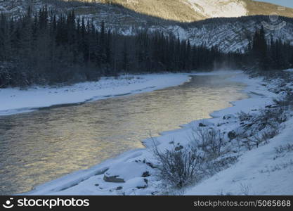 Stream flowing through forest, Alaska Highway, Northern Rockies Regional Municipality, British Columbia, Canada