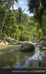 Stream flowing through forest, Koh Samui, Surat Thani Province, Thailand