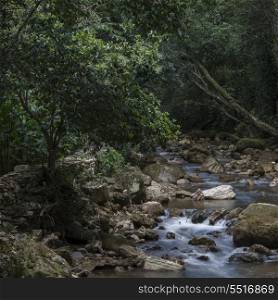 Stream flowing through rocks, Macaw Mountain Bird Park, Copan, Copan Ruinas, Copan Department, Honduras